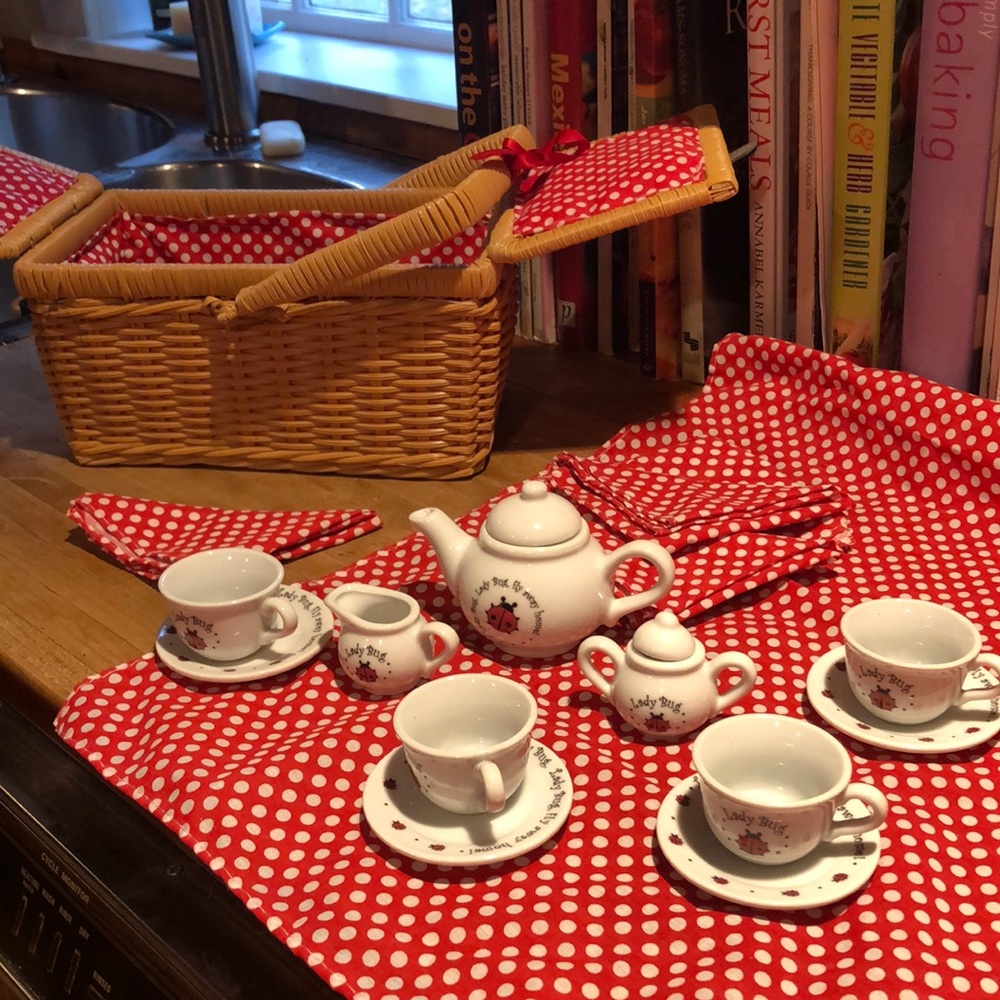 Kids porcelain tea set. Includes picnic basket table cloth and napkins